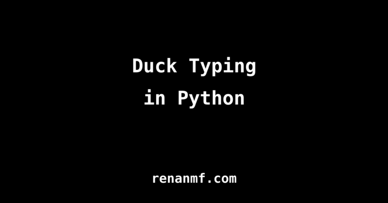 duck typing python